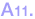 A11