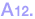 A12